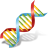 beta glucan fibre