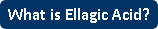 what-is-ellagic-acid?